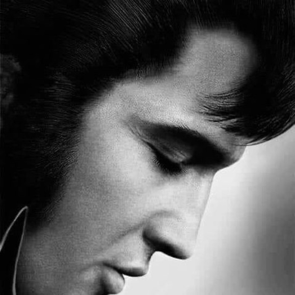 Meet your Posher, Sarah - Picture 1 of 1